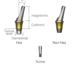 Angled Abutment
